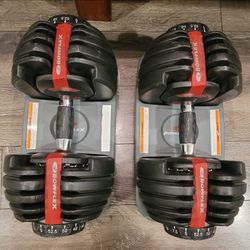 Bowflex Adjustable Dumbbell Set
