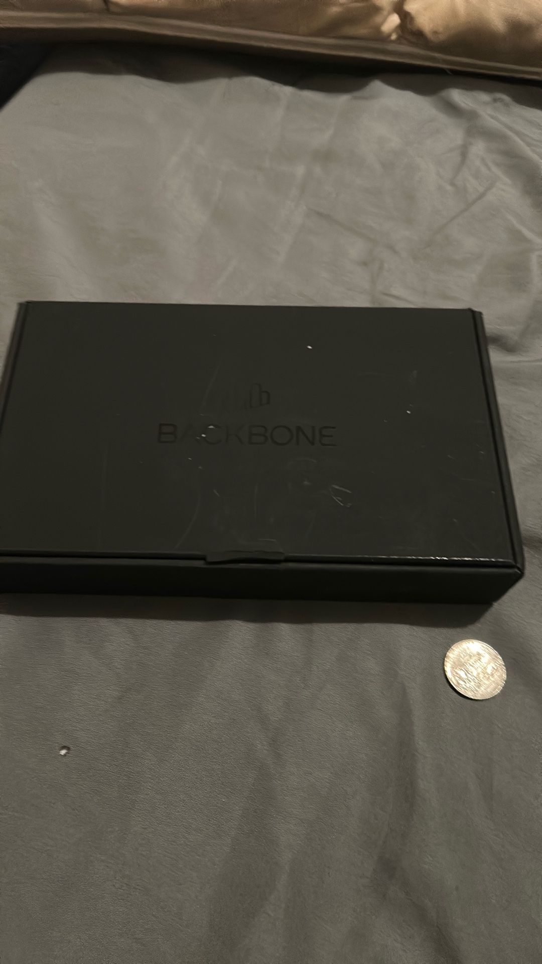 iPhone back bone