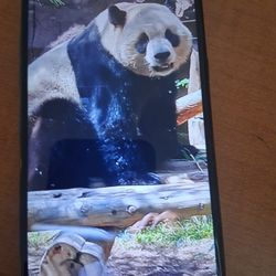 LG K51 CELLPHONE CELULAR