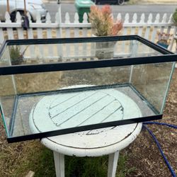 Nice 50 Gallon Fish/ Reptile Tank