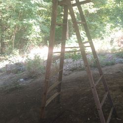 8 Ft Ladder 