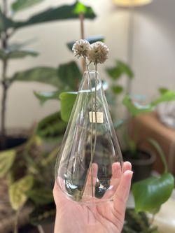 CB2 Modern Tear Drop Wall Mount Vase Set Of 2