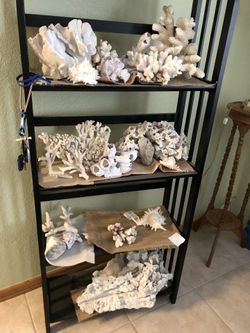 Corals no live corals