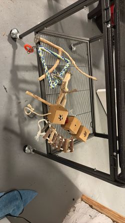 Bird Toys And Sticks