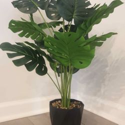 Pickup From Mount Juliet Tn 37122.. New Beautiful 28" artificial monstera plant with pot.excellent Condition..pet n smoke free home