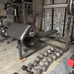 Work Out Bench