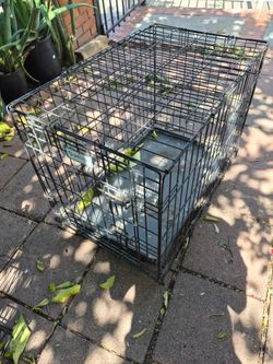 Petcrest pet carrier