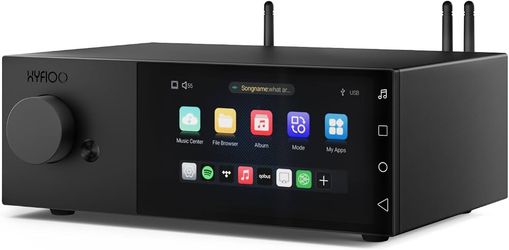 DM100 Music Streamer 5.5" LCD Touchscreen with 8+64GB, Supports DLNA, AirPlay, NAS and Cloud Storage Multiple Playback Ways, Bluetooth 5.4 Streamer Wo