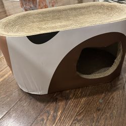 Cat Scratch Your Bed