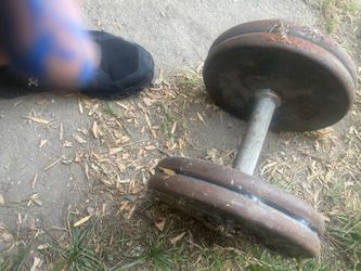Single Dumbbell 45lb