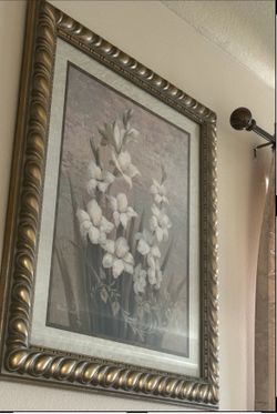 Frames /cuadros