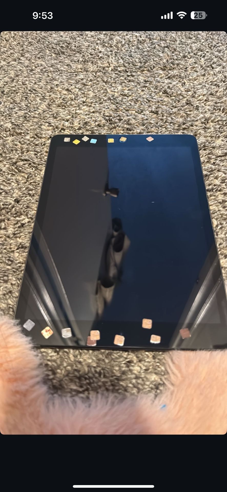 iPad 
