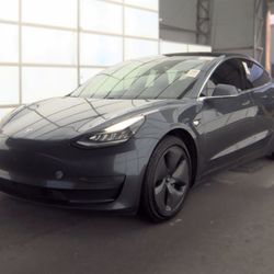 2019 Tesla Model 3 Standard Plus