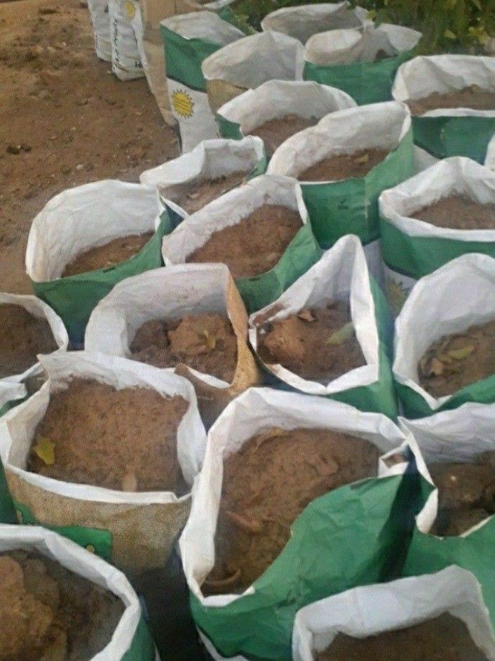 Organic Compost, Compost, Fertilizer, Top Soil, Garden Soil, Soil, Organic Soil