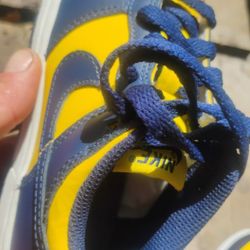 Childrens Nike Dunks Size 12 C