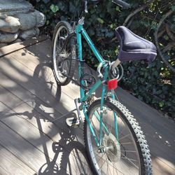 “Vintage Univega Mountain Bike – Tuned & Ready to Ride”