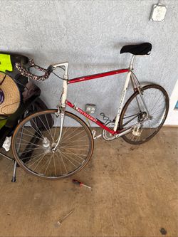 Bottecchia Racing Bike