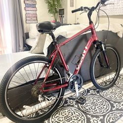 Giant Sedona DX Large/26”