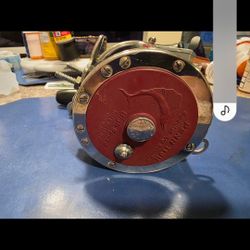 Penn Senator 113 Hsp Fishing Reel