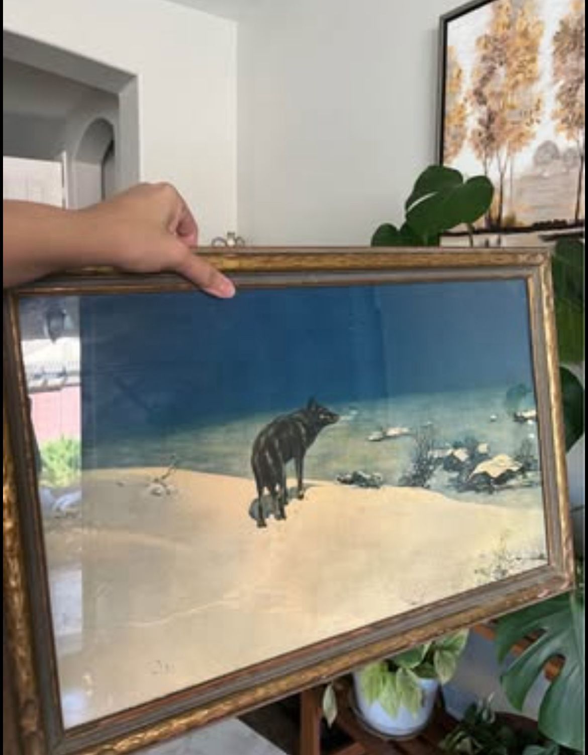 Large Vintage Lone Wolf Painting Print In Glass Antique Frame 16x24in