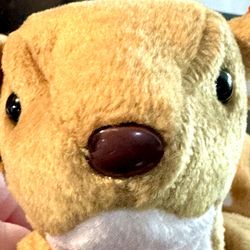 ****UPDATE**** DISCOUNTED! Ty Beanie Babies “Whisper” The Deer With Errors