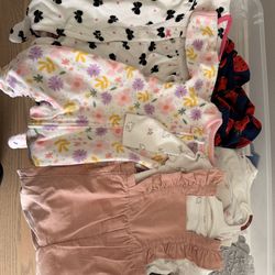 Baby girl clothes (3-6mo)
