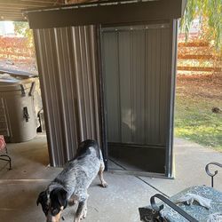 Metal Shed