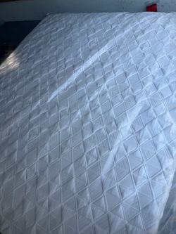 King size eastern euro king koil extended life hybrid memory foam adjustable serta Sealy Stearns & foster Aireloom Kluft purple Tempurpedic saatva avo