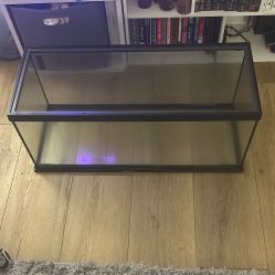 Reptile Tank