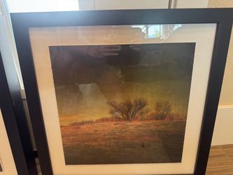 2 Framed and Mated paintings
