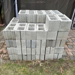 55 Cinder Blocks Bricks For Sale 8-in W x 8-in H x 16-in L Cored Concrete Block
