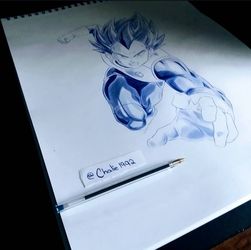 Dbz Ball Point Pen