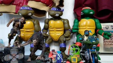 Giant turtles $23 each