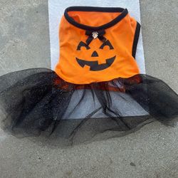 Pumpkin Dress For Dogs