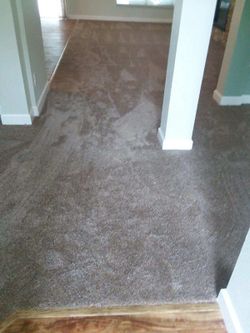 Carpet padding #6