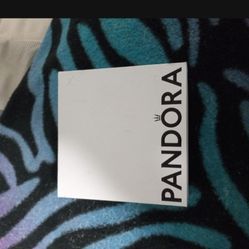 Pandora Bracelet 