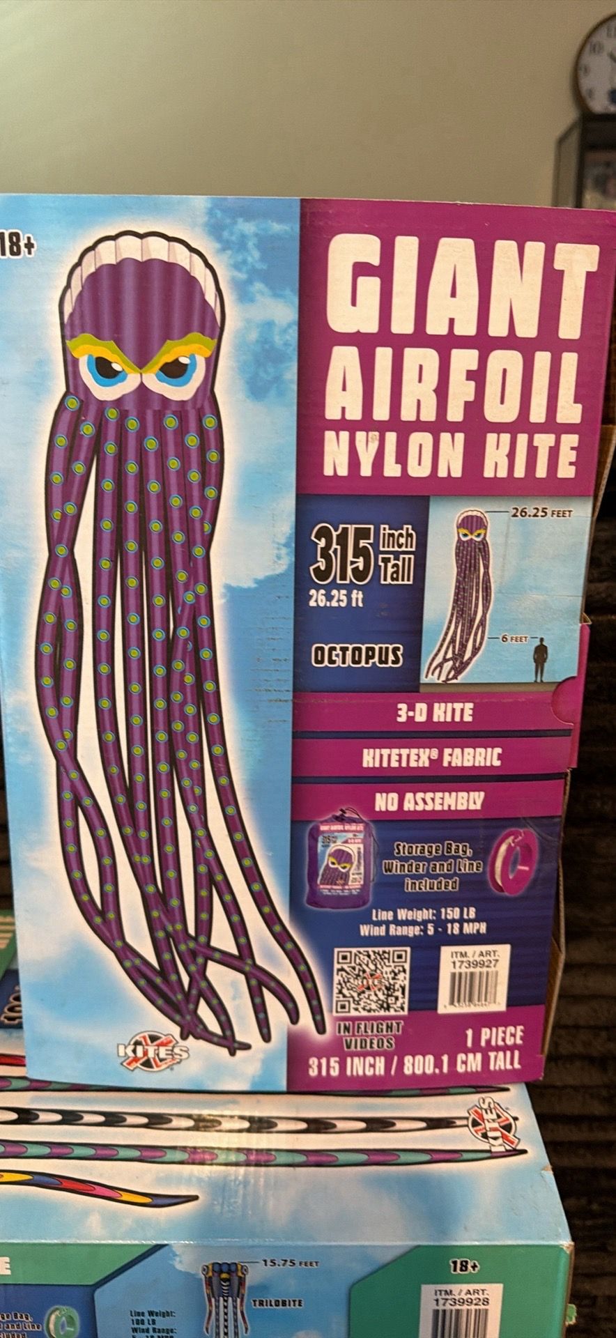 Huge kite