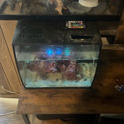 Fluval Fish Tank Saltwater Ready To Use 