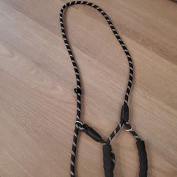 Dog Training Leash