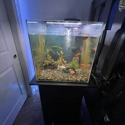 Selling Fish Tank