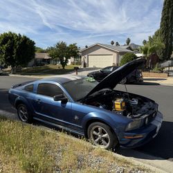 2006 Mustang GT