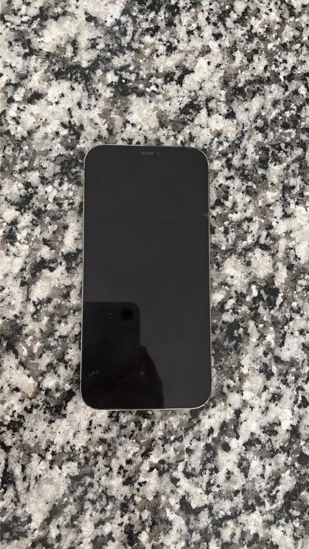 iPhone Pro Max Space Gray (Precio en Pesos)