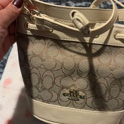 Coach Mini Bag
