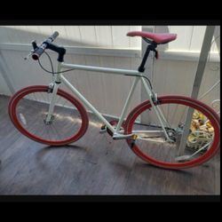 Fixed Adult Bike Bicycle Nice Quality