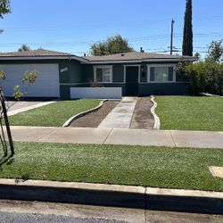 Artificial Grass