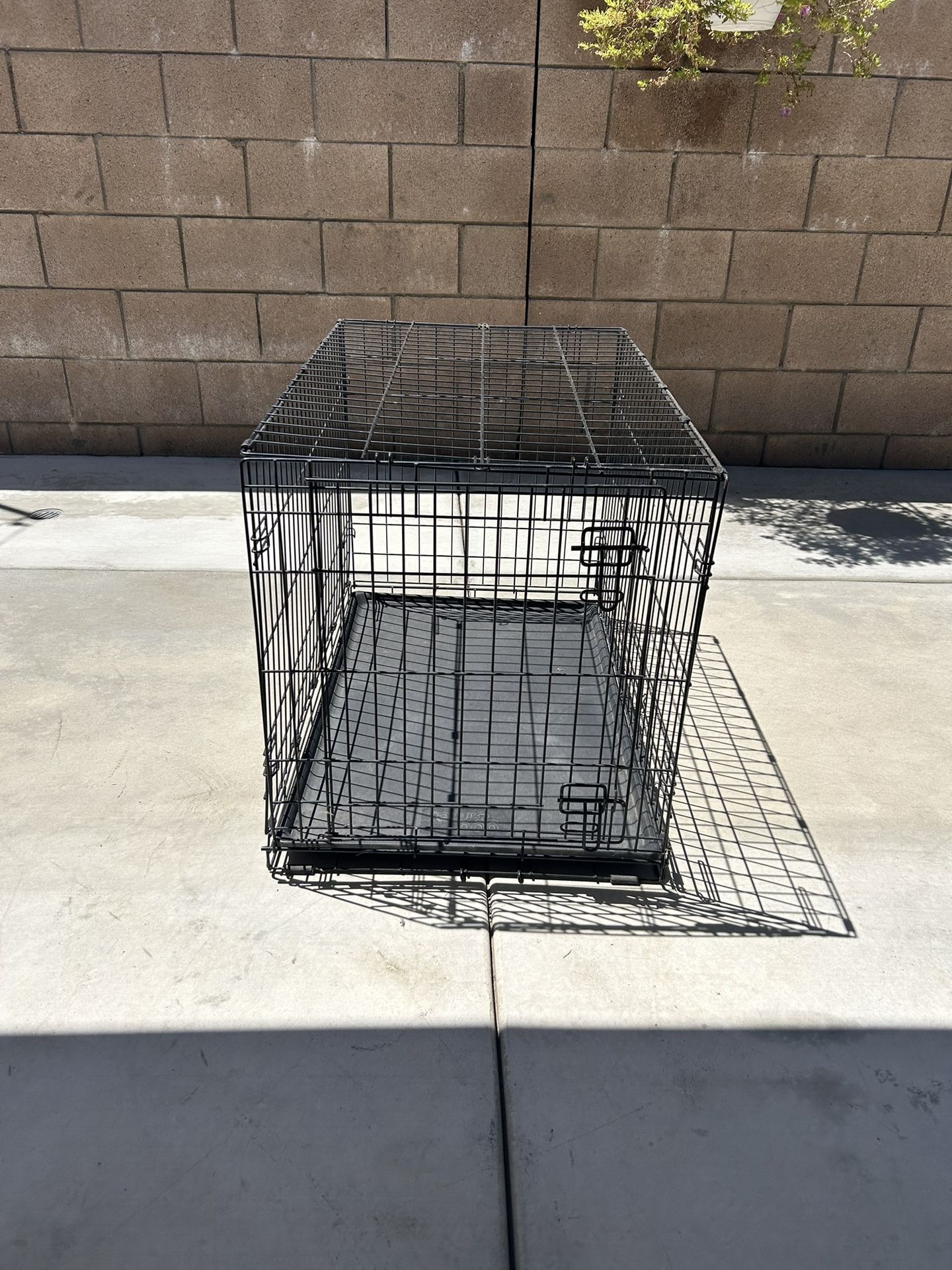 Dog Crate