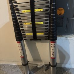 Telescopic Ladder