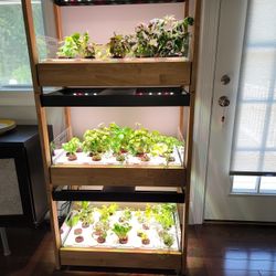 Click And Grow 25, 3 Units 