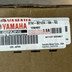 Yamaha EV Battery