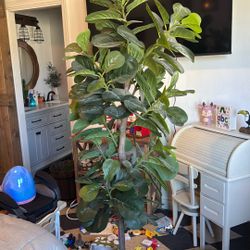 Big Artificial Plant 
